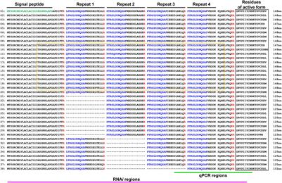 Multiple Precursor Proteins of Thanatin Isoforms, an Antimicrobial Peptide Associated With the Gut Symbiont of Riptortus pedestris